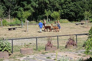 Europacup im Bosseln