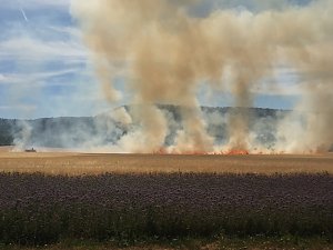 Feldbrand zwischen Gro&szlig;- und Kleinfurra