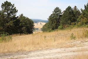 Das wird ein sch&ouml;ner Osterspaziergang 2019