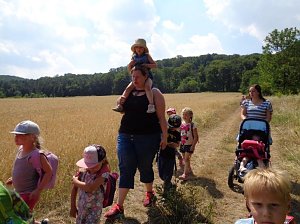 Waldtag in der Kita in Gro&szlig;furra