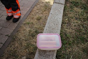 Rettungshunde in Sondershausen unterwegs