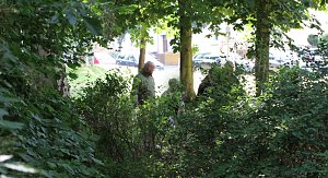 Pr&auml;senz in Sondershausen zeigen