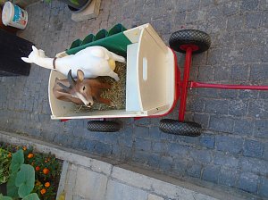 6. Flohmarkt mit Mega - Besucherrekord