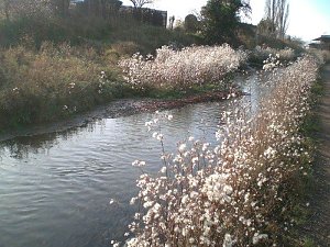 Natur im November