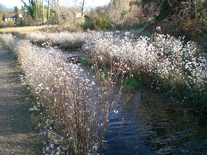 Natur im November