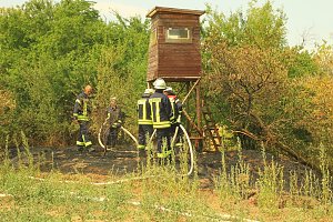 Flächenbrand zwischen Groß- und Kleinfurra