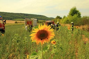 Flächenbrand zwischen Groß- und Kleinfurra