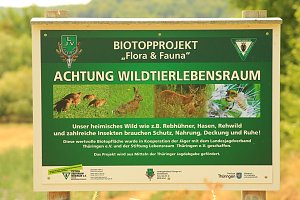Flächenbrand zwischen Groß- und Kleinfurra