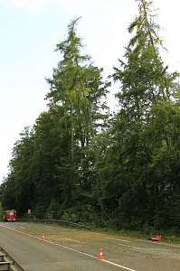 Unwetter über Sondershausen