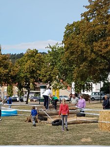 Erfolgreiches 2. Kids Fun & Run in Bad Frankenhausen