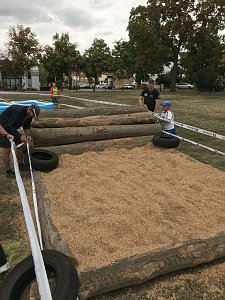 Erfolgreiches 2. Kids Fun & Run in Bad Frankenhausen