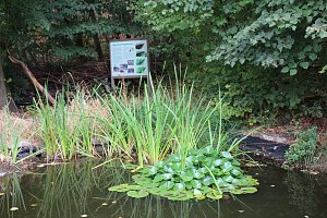 Sommerfest im Wohngebiet