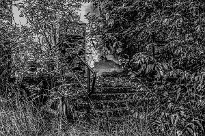 Lost Places im Fokus