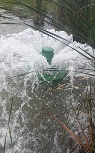 Sauerstoffanlage rettete Fische