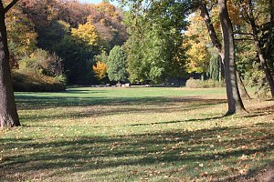 Wie weiter mit dem Schlosspark Sondershausen?