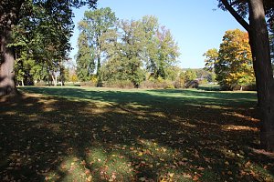 Wie weiter mit dem Schlosspark Sondershausen?
