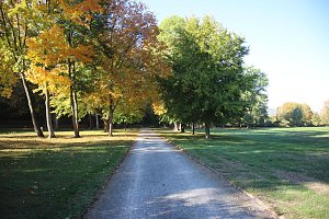 Wie weiter mit dem Schlosspark Sondershausen?