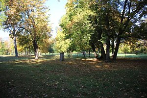 Wie weiter mit dem Schlosspark Sondershausen?
