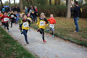 Stadtparklauf in Sondershausen (1)