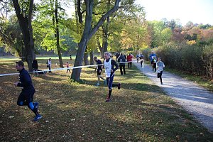 Stadtparklauf in Sondershausen (2)