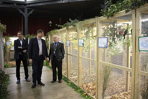 50 Jahre Ziergefl&uuml;gelausstellung in Sondershausen