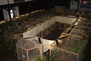 50 Jahre Ziergefl&uuml;gelausstellung in Sondershausen