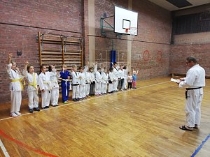 Judo Safari der TSG Salza