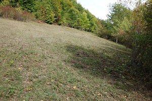 Projektfl&auml;che Teichtal Hainrode nach Beendigung der Pflegema&szlig;nahmen