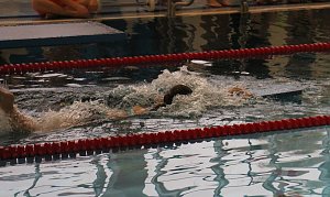 Tolle Kreisjugendspiele im Schwimmen