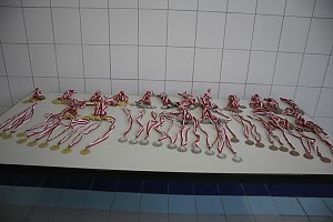 Tolle Kreisjugendspiele im Schwimmen