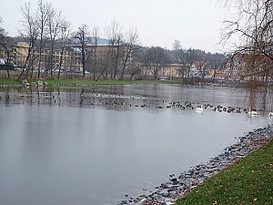 Ufersanierung Schlosspark SDH