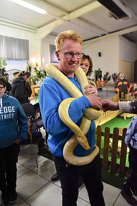 Reptilien Ausstellung