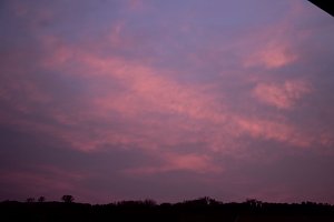 Sondershausen ganz in Rot