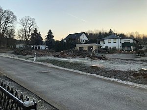 Thema Baumrodungen in Sondershausen