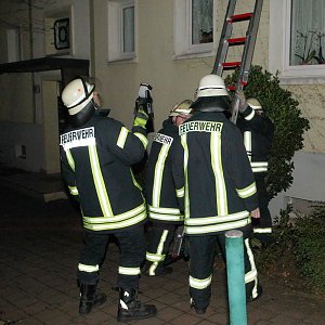 Tierrettung am Abend
