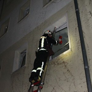 Tierrettung am Abend