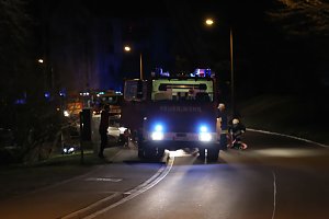 Brand im Borntal