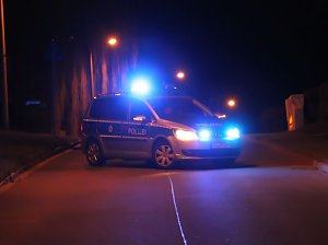 Brand im Borntal