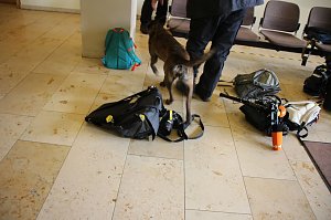 Jugend gestaltet Zukunft im Kyffh&auml;userkreis