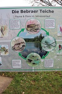 Natur und Schwimmen, das passt
