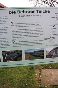 Natur und Schwimmen, das passt