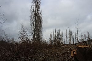 Unmut im &Ouml;stertal