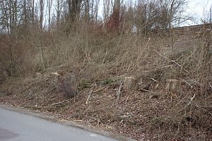 Unmut im &Ouml;stertal