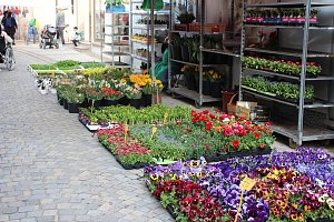 Ostermarkt gut besucht