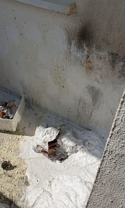 Weitere Einzelheiten zum Brand