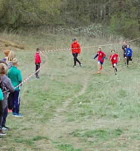 Gl&uuml;ckliche Sieger beim Crosslauf der Schulen