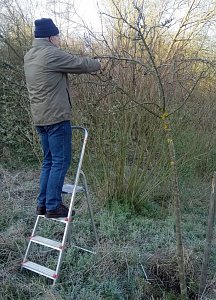 Streuobstwiese aus dem Dornr&ouml;schenschlaf erwacht