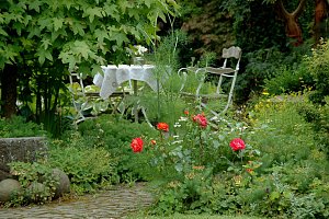 Der Garten – Spiegelbild des Lebens