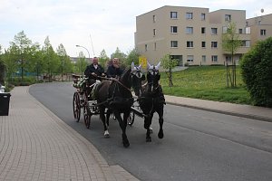 1. Sondersh&auml;user Blutbuchen�K&ouml;nigin gekr&ouml;nt