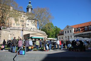 Ansturm auf Sondershäuser Blumen-, Pflanzen- und Staudenmarkt